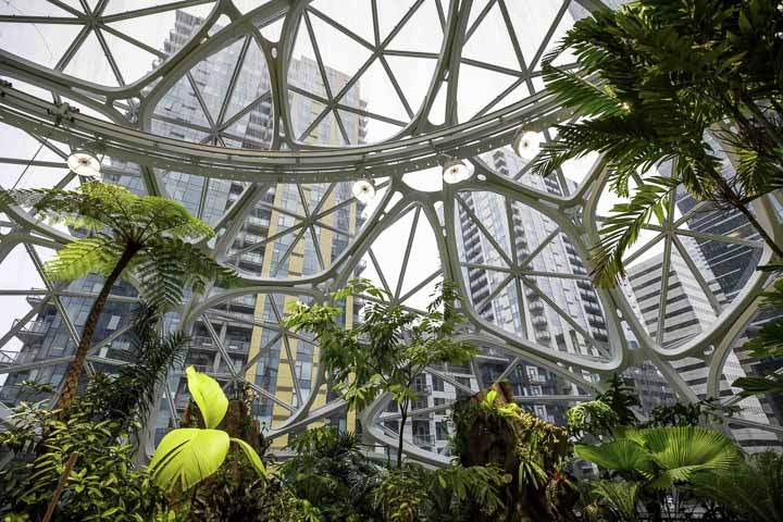 20 Top Things to Do in Seattle in 2020: Amazon The Spheres