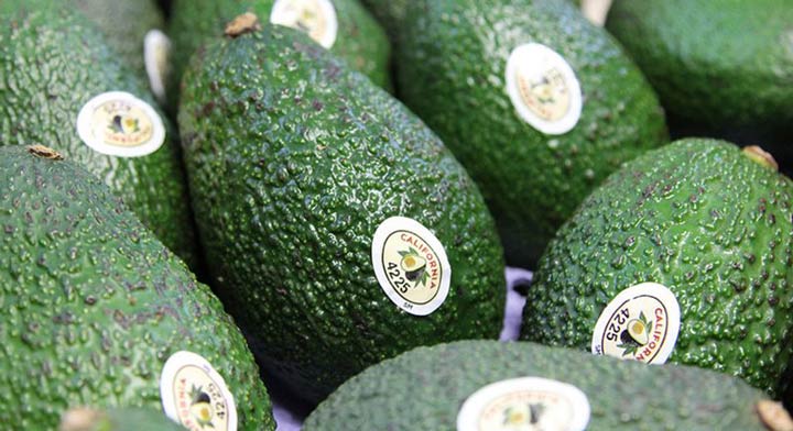 20 Top Things to Do in San Diego 2020 Annual Fallbrook Avocado Festival.