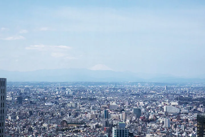 11 Best Places to View the Tokyo Skyline for Free: Shinjuku Nomura Building  (Shinjuku City) 