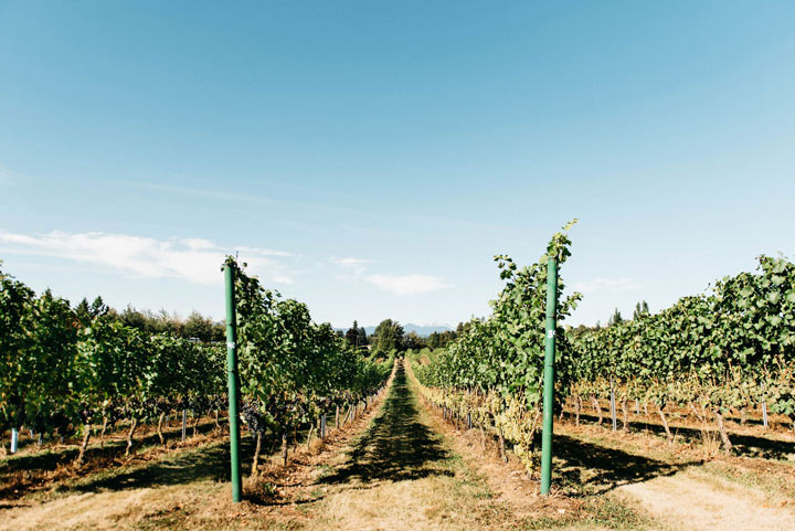 Wineries, Breweries, Cideries and Distilleries in Canada's Fraser Valley