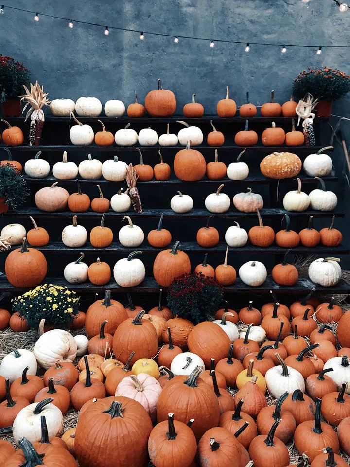 Halloween Events, Attractions, Pumpkin Patches Metro Vancouver & Fraser Valley 2020