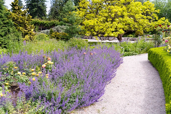 VanDusen Botanical Garden Vancouver: What to See and Where to Eat