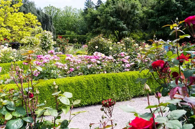 VanDusen Botanical Garden Vancouver: What to See and Where to Eat