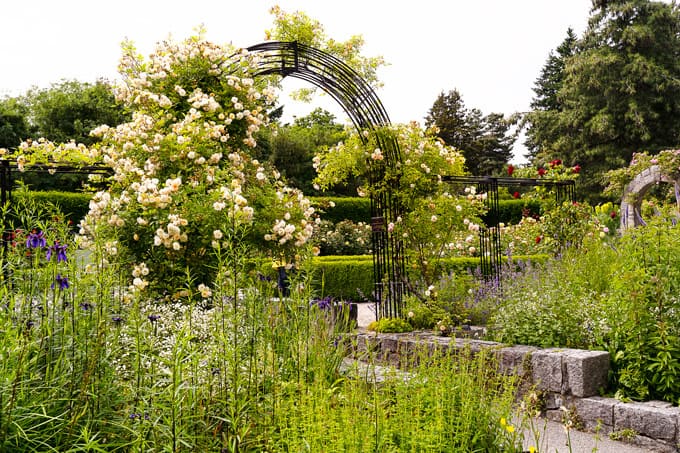 VanDusen Botanical Garden Vancouver: What to See and Where to Eat