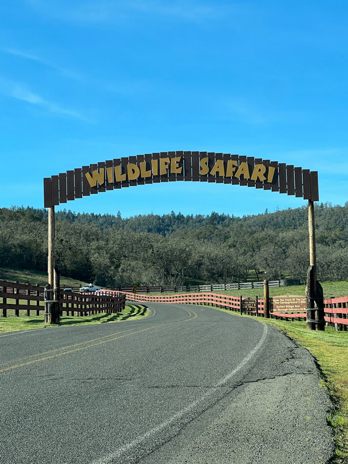 Wildlife Safari Winston Oregon [Review]