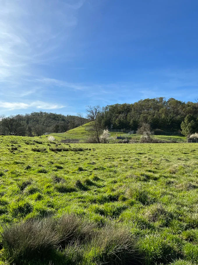 Wildlife Safari in Winston Oregon [Review]