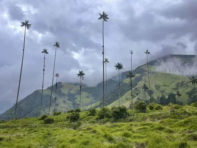  Adventures by Disney to Take Guests to Colombia, the Country that Inspired Disney Animation's "Encanto"