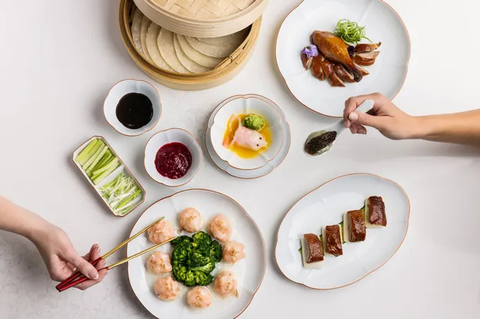 The Ten Must-Try Gold Coast Experiences in 2023 for Couples, Families and Solo Travellers