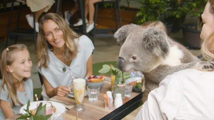 The Ten Must-Try Gold Coast Experiences in 2023 for Couples, Families and Solo Travellers