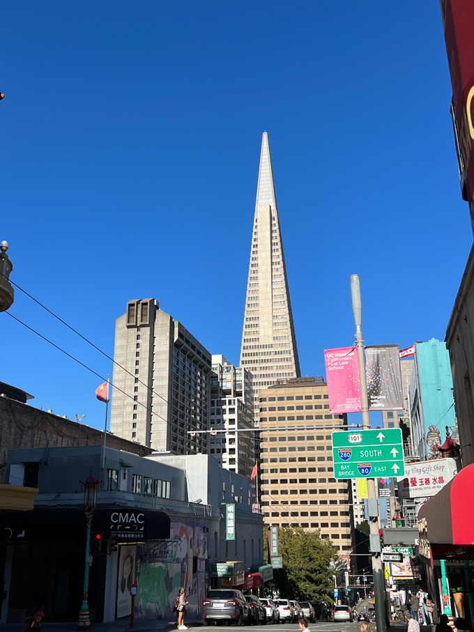 Exploring Chinatown San Francisco [My Experience]